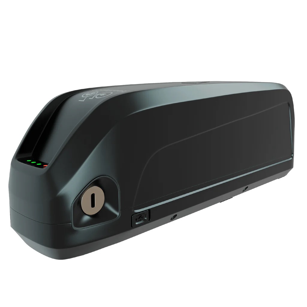 Electric Bike Battery 48V